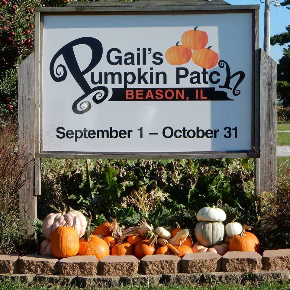 Gail's Pumpkin Patch